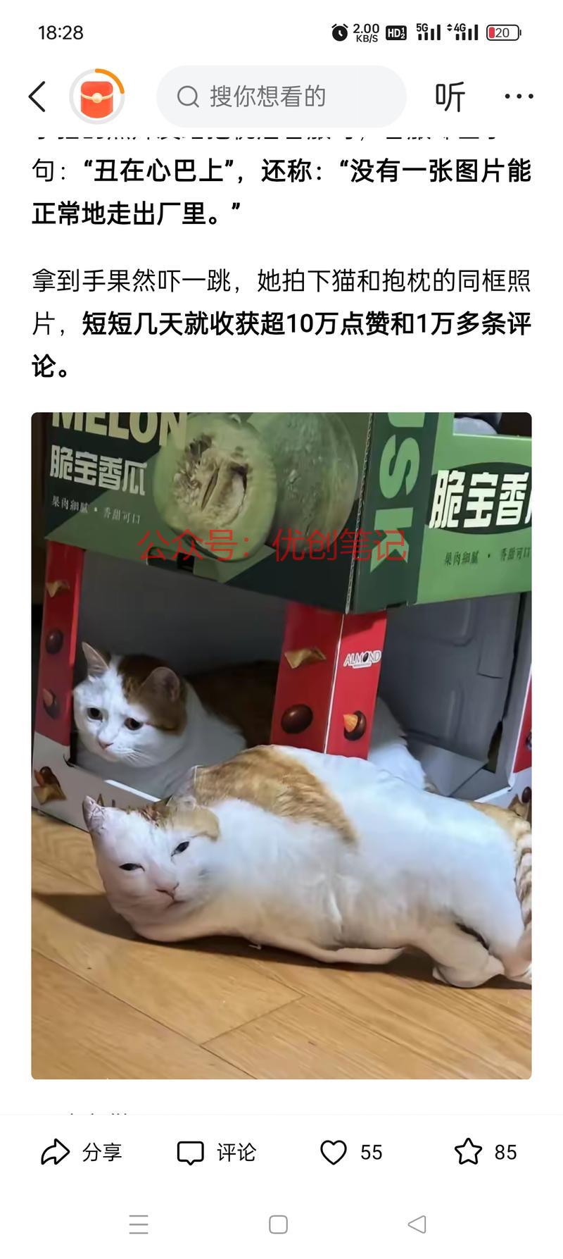 丑猫抱枕突然很火🔥…#情报-搞钱线报📢论坛-网创交流-优创圈